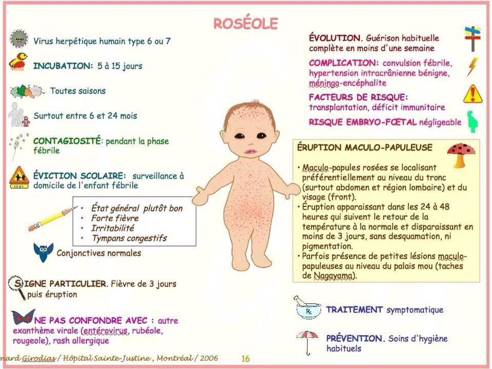 la roséole: fiche pratique