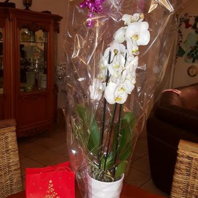 Noël 2015: Merci à vous tous chers parents...