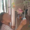 Pâques 2016: Regard émerveillé d'un enfant