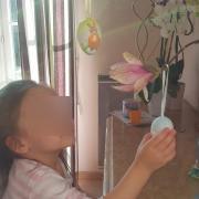 Pâques 2016: Regard émerveillé d'un enfant