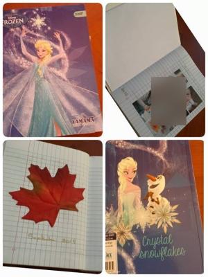 Cahier de vie assistante maternelle Villeparisis